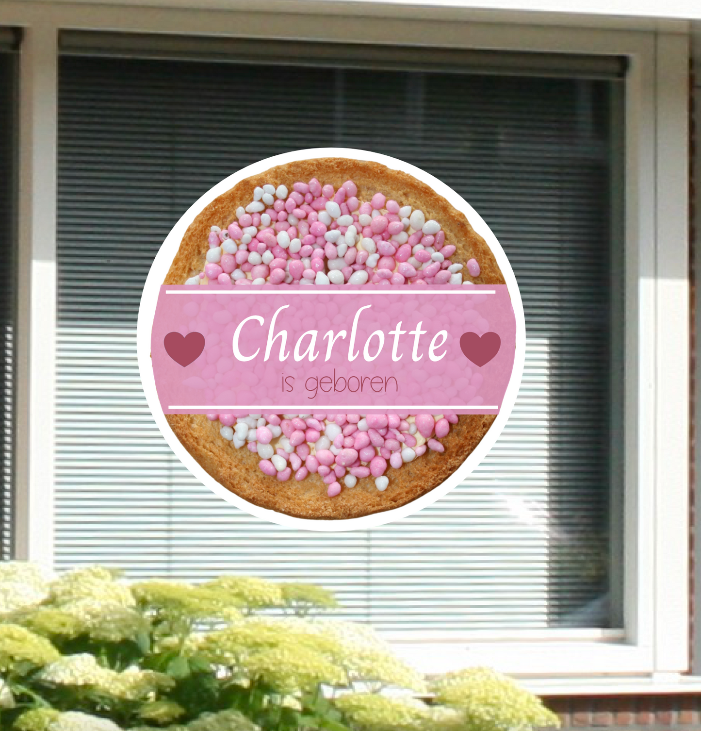 Geboortesticker van beschuit met muisjes gepersonaliseerd met naam en geboortedatum, voor de geboorte van een meisje.
