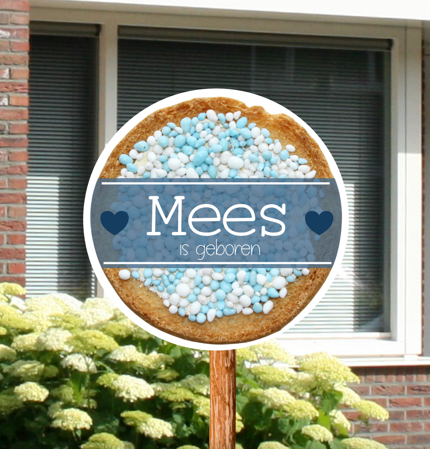 Geboortebord voor in de tuin van beschuit met muisjes gepersonaliseerd met naam en geboortedatum voor de geboorte van een jongen.