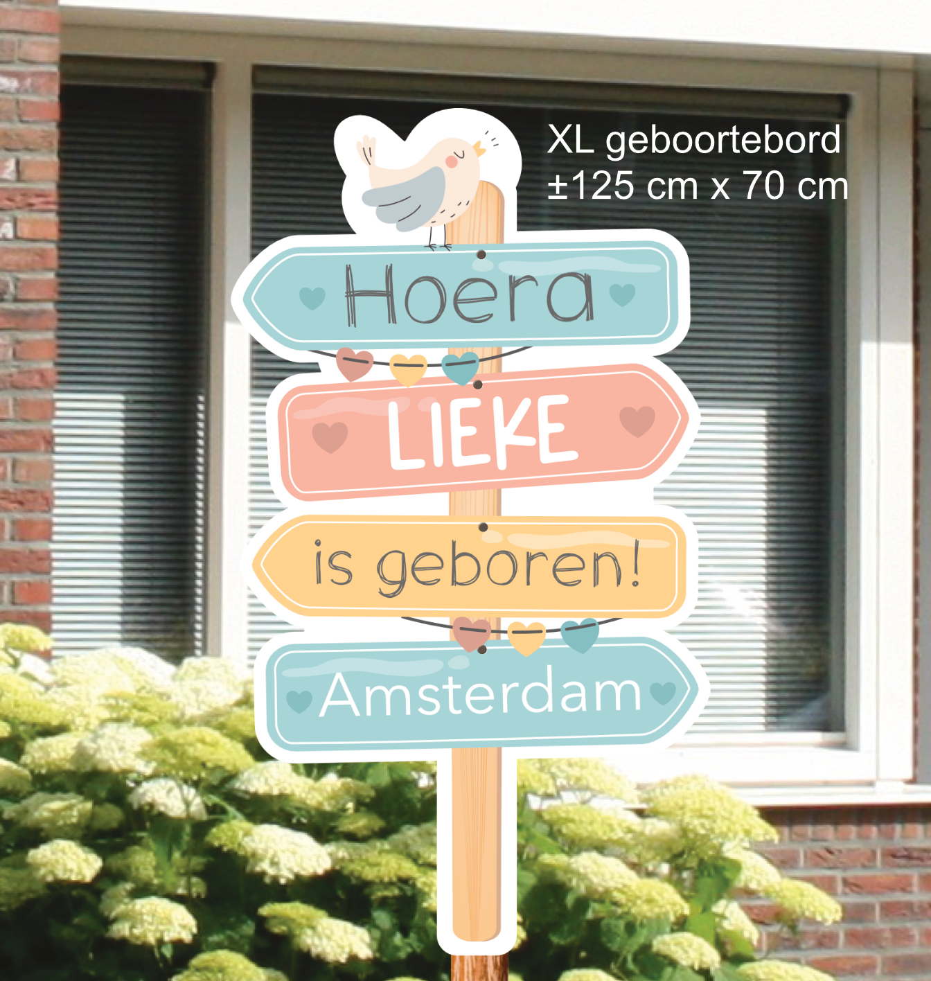 Geboortebord wegwijzer, met naam geboortedatum of woonplaats