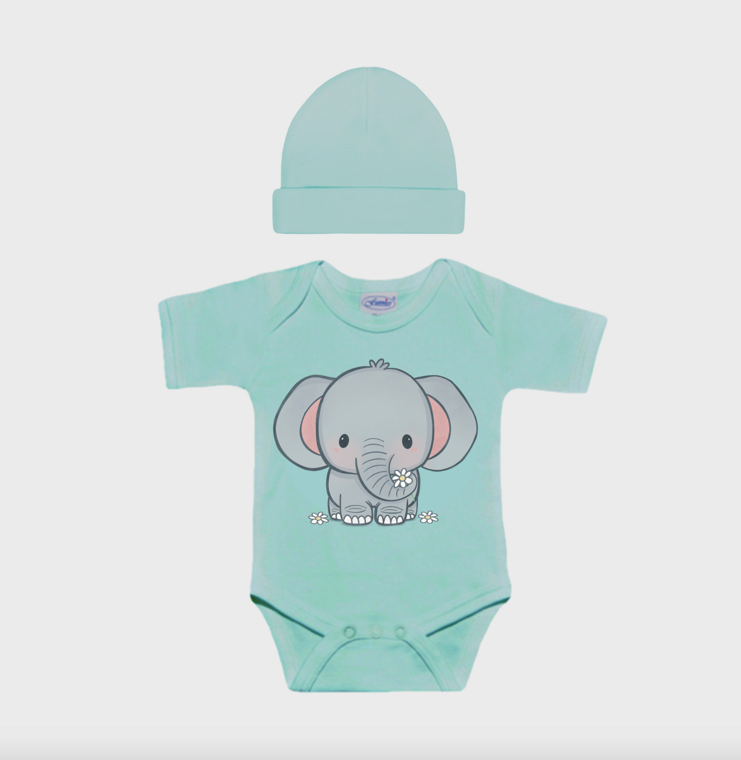 Cadeaupakket geboorte | Mint L