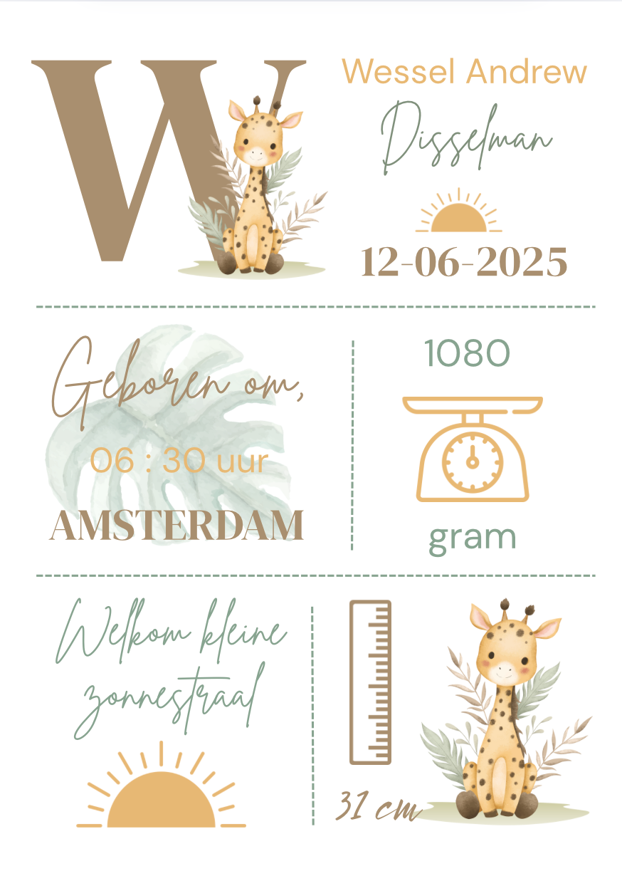 Geboorteposter in lijst