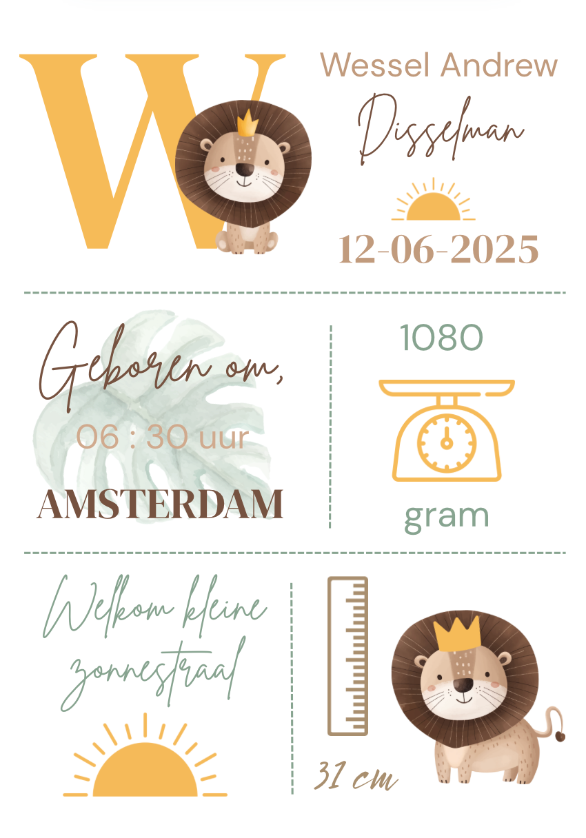 Geboorteposter in lijst