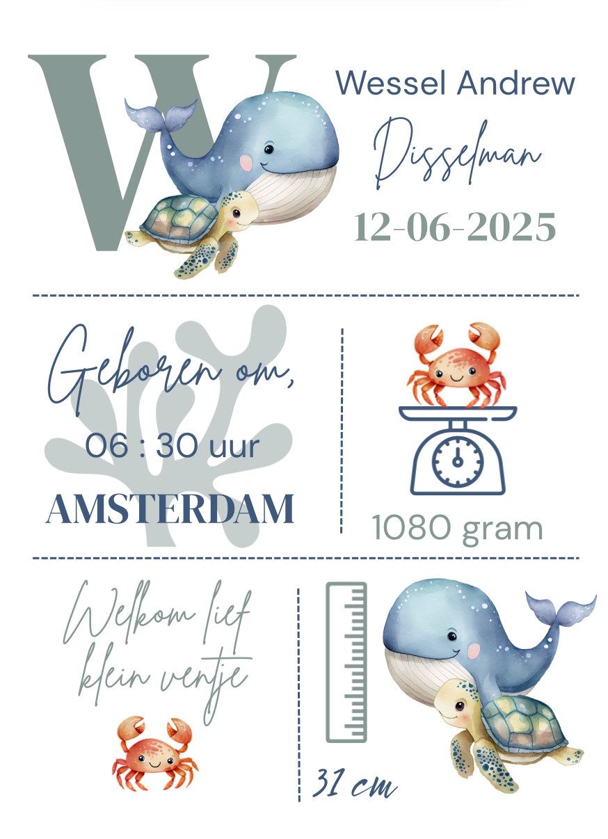 Geboorteposter in lijst