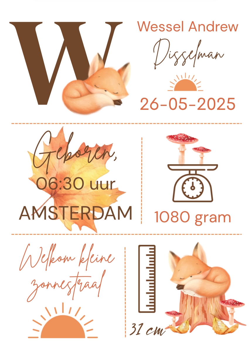 Geboorteposter in lijst