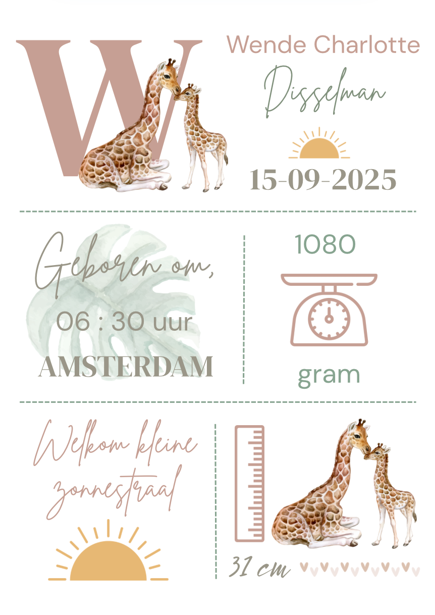 Geboorteposter in lijst