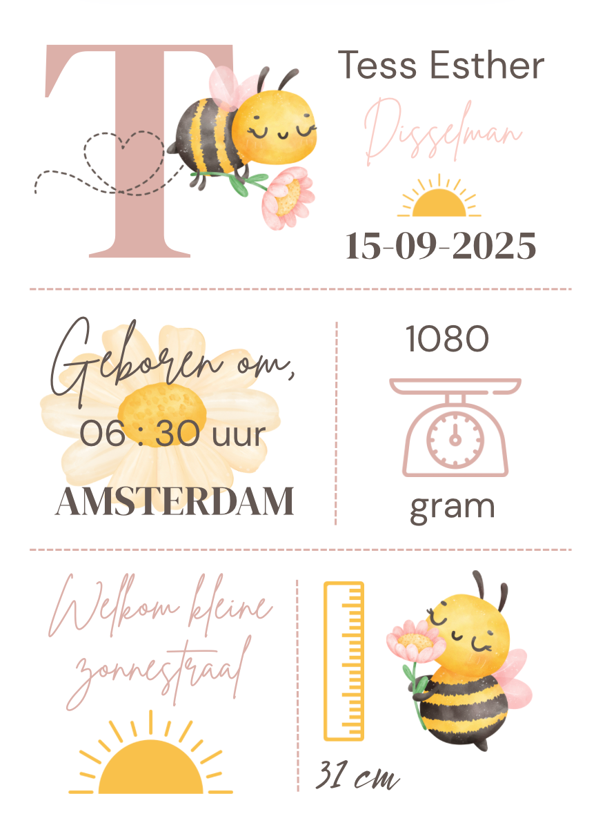Geboorteposter in lijst