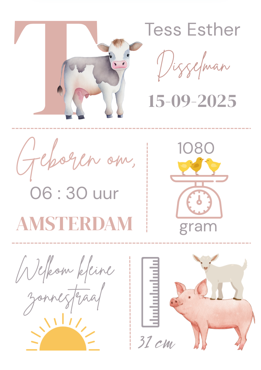 Geboorteposter in lijst