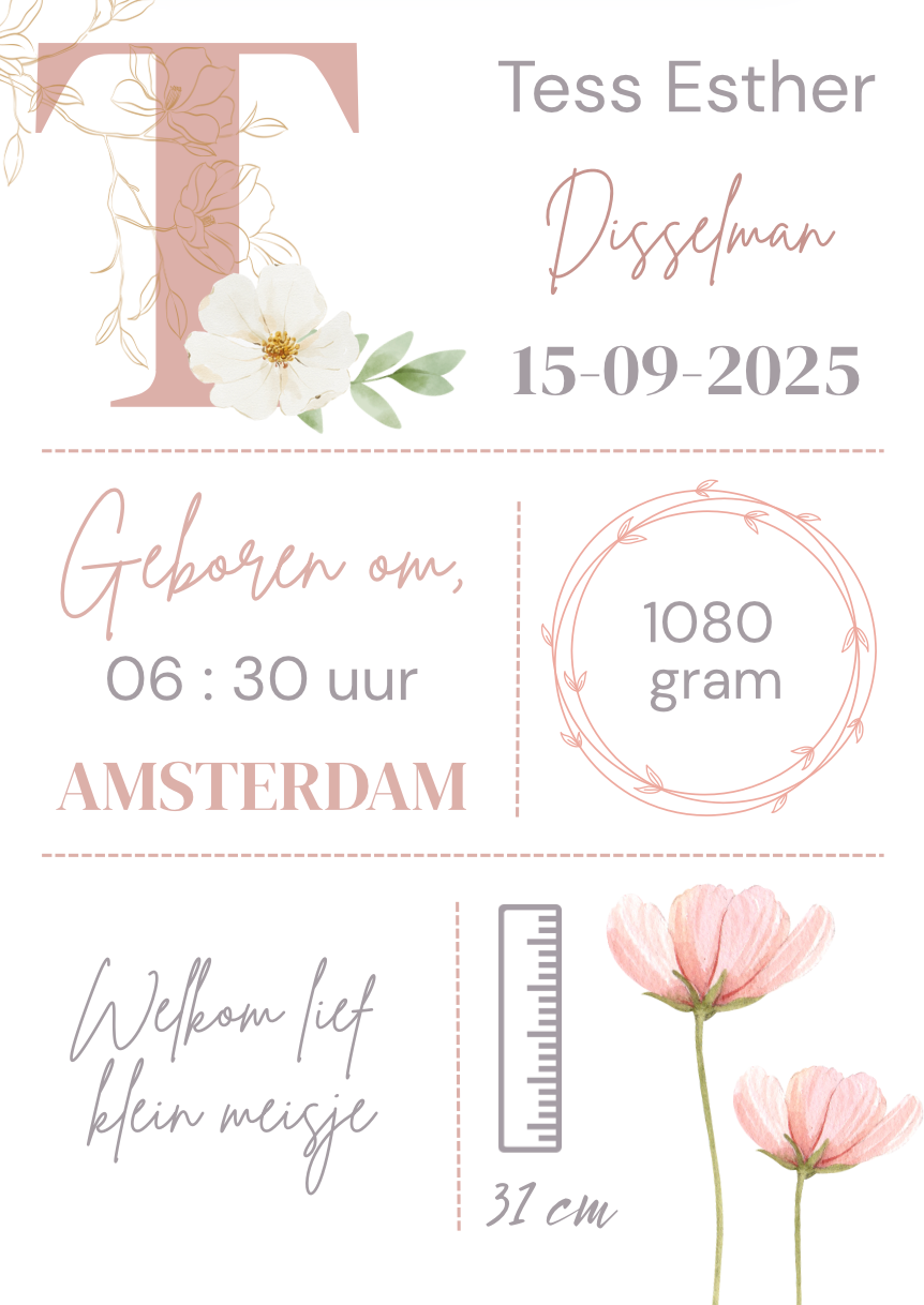 Geboorteposter in lijst
