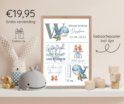 Geboorteposter in lijst
