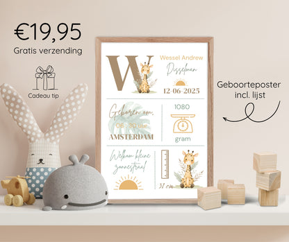 Geboorteposter in lijst