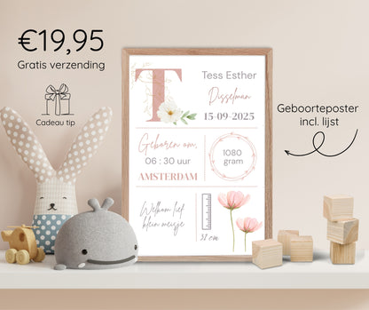 Geboorteposter in lijst