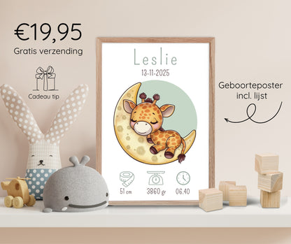 Geboorteposter in lijst