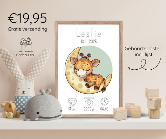 Geboorteposter in lijst