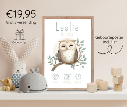 Geboorteposter in lijst