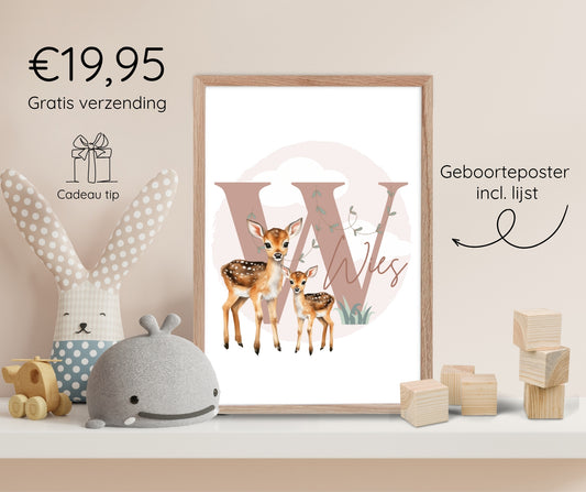 Geboorteposter in lijst