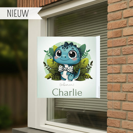 Geboortebord voor op het raam van een schattig dino, gepersonaliseerd met naam.