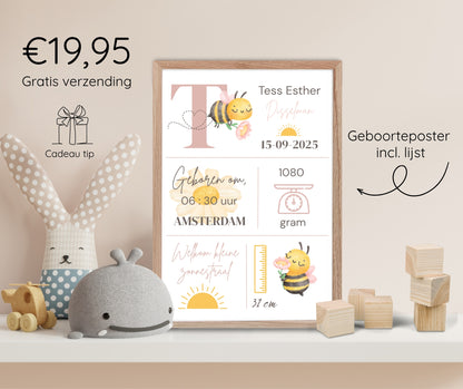Geboorteposter in lijst