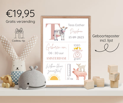 Geboorteposter in lijst