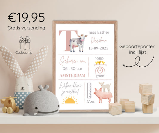 Geboorteposter in lijst