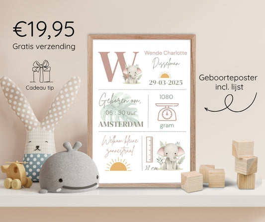 Geboorteposter in lijst