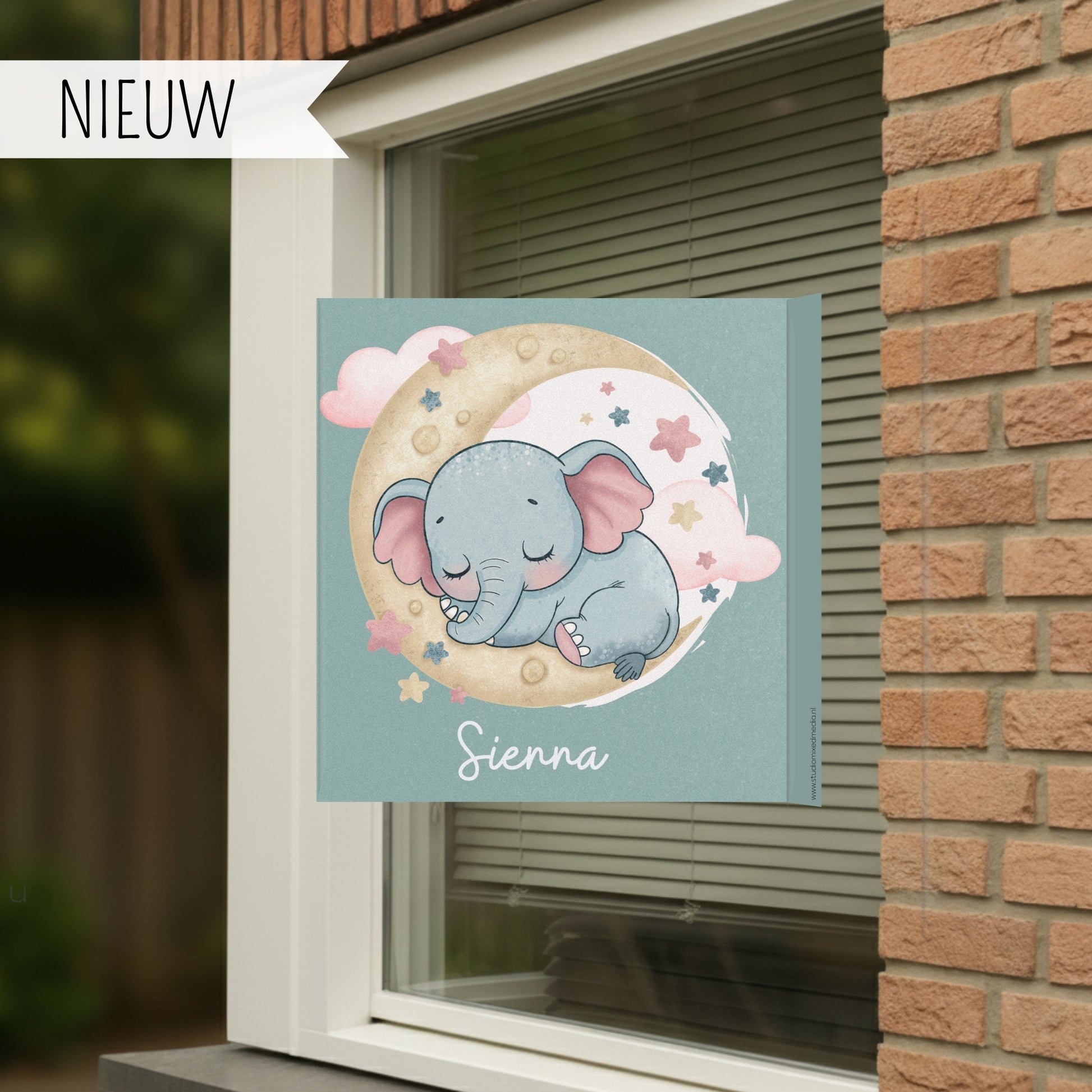 Olifantje op de maan