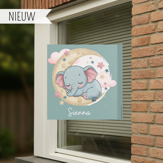 Olifantje op de maan