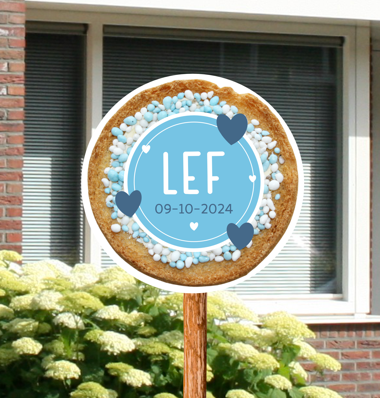 Geboortebord voor in de tuin van beschuit met muisjes gepersonaliseerd met naam en geboortedatum voor de geboorte van een jongen.