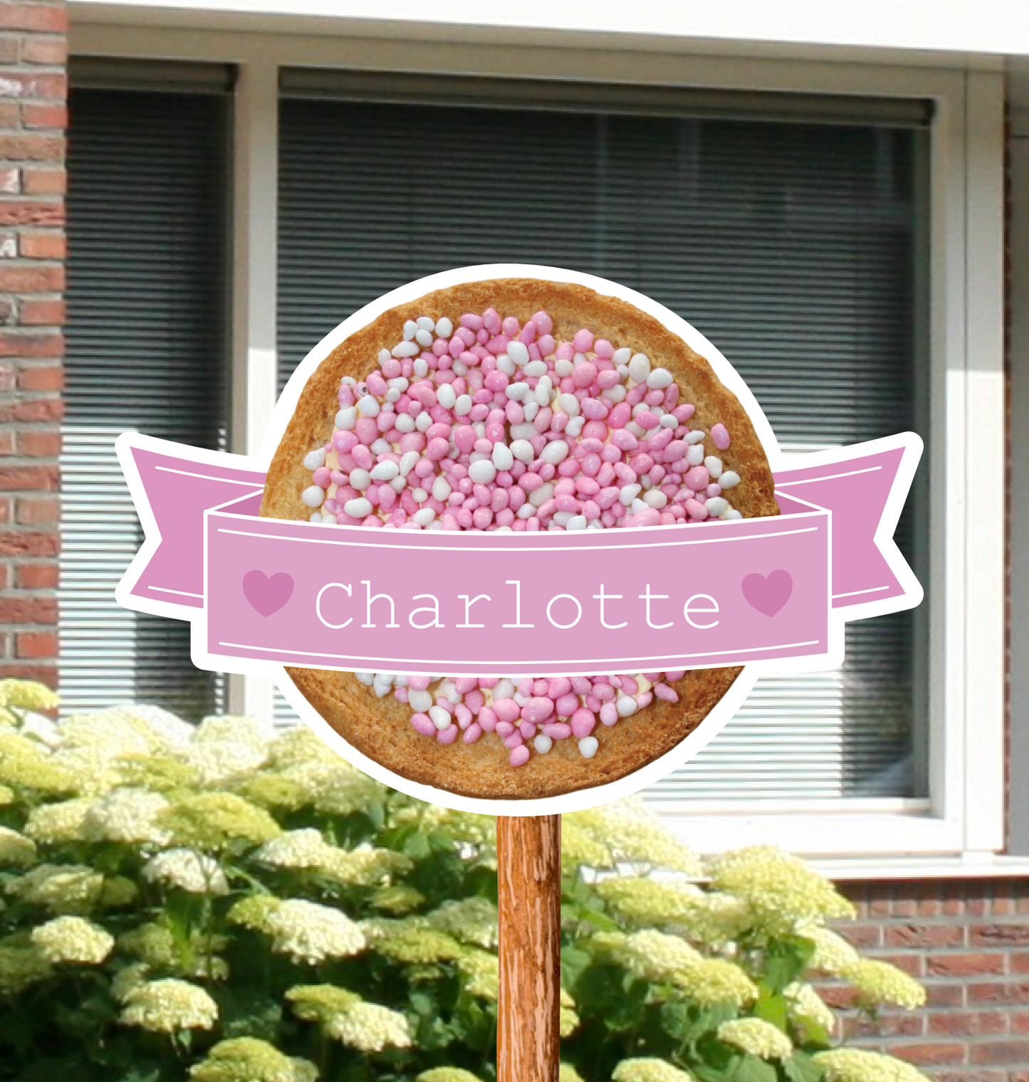 Geboortebord voor in de tuin met beschuit met muisjes in het roze.