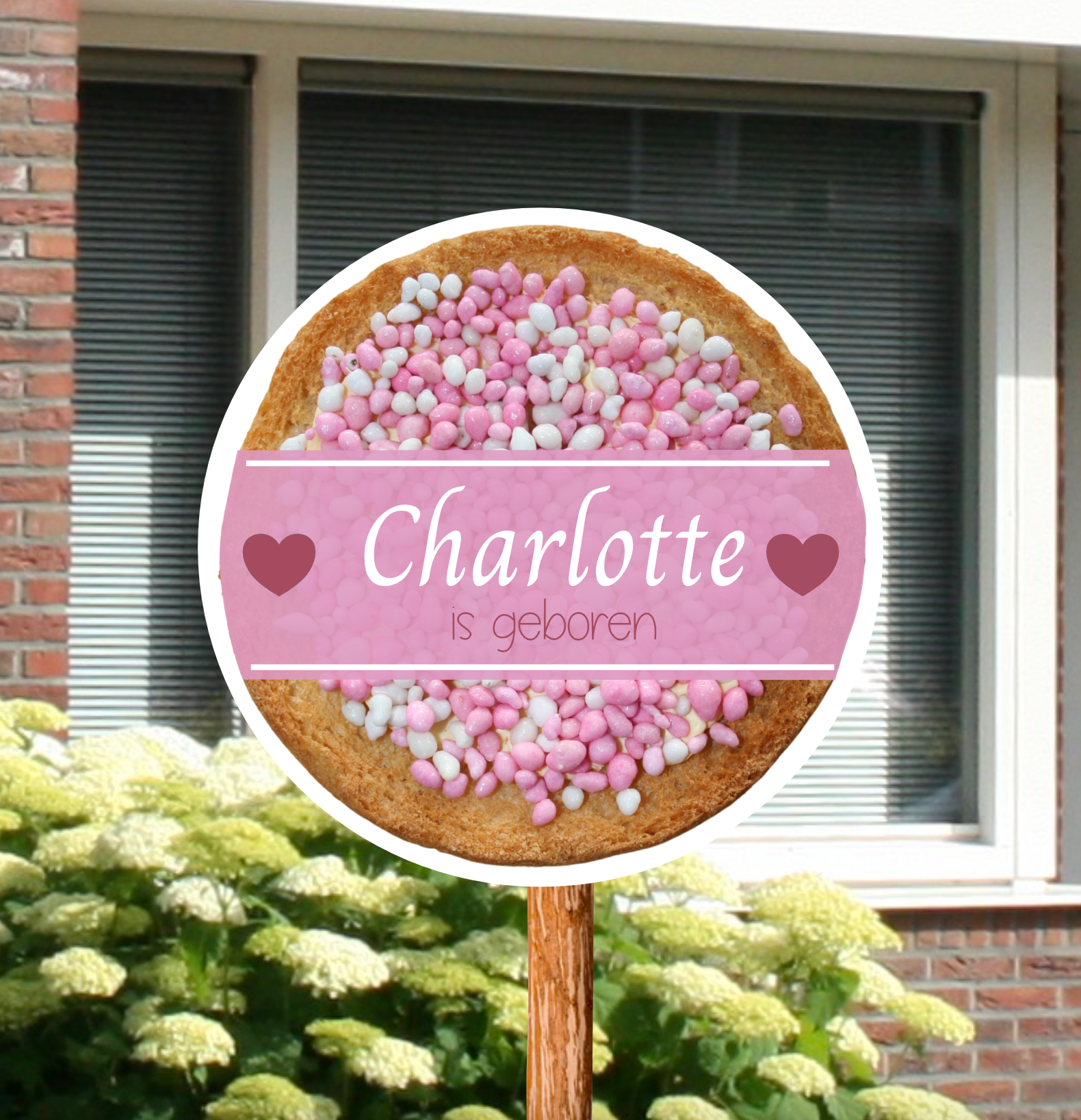 Geboortebord voor in de tuin van beschuit met muisjes  gepersonaliseerd met naam en geboortedatum, voor de geboorte van een meisje.