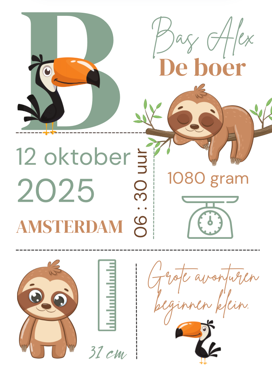 Geboorteposter in lijst