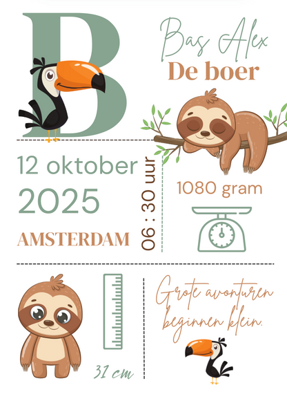 Geboorteposter in lijst
