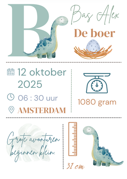 Geboorteposter in lijst