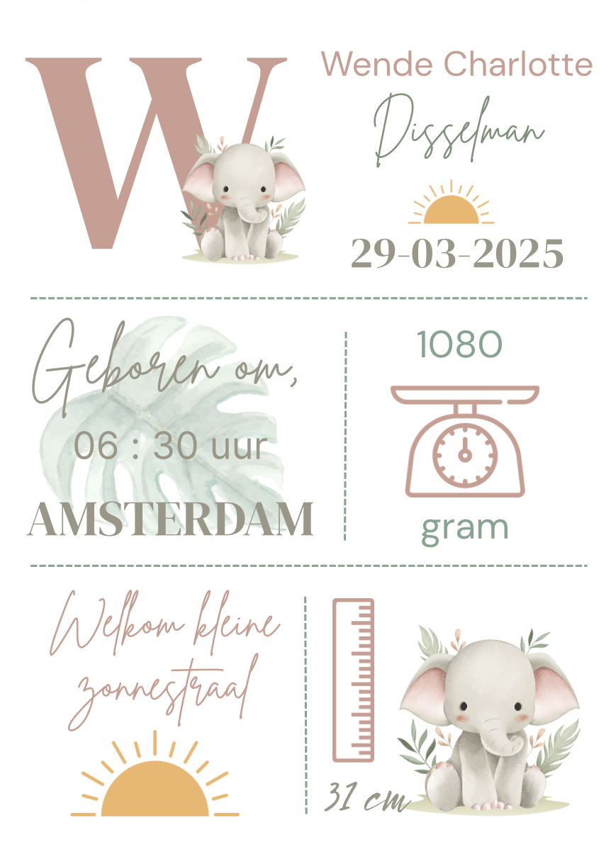 Geboorteposter in lijst