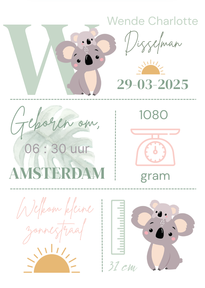 Geboorteposter in lijst
