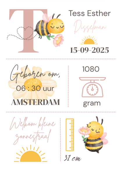 Geboorteposter in lijst