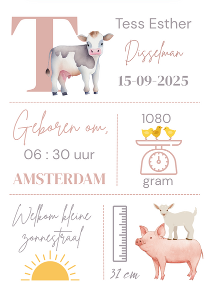 Geboorteposter in lijst
