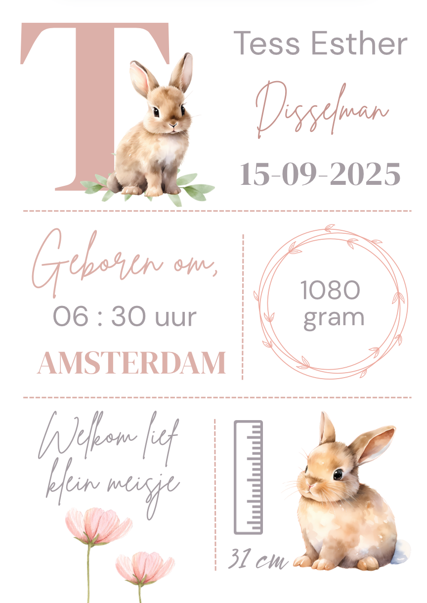 Geboorteposter in lijst