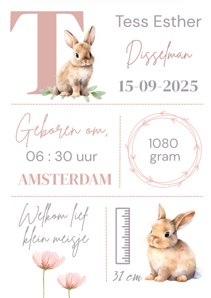 Geboorteposter in lijst