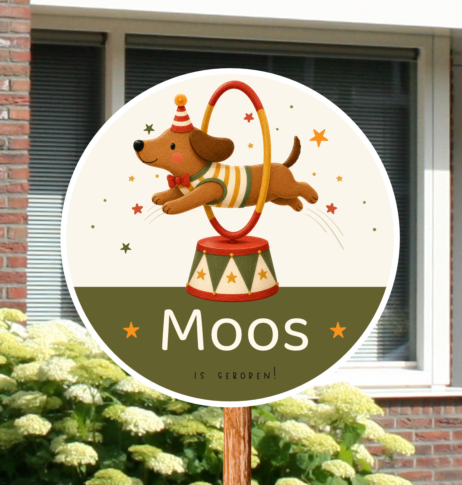 Rond geboortebord voor in de tuin gepersonaliseerd met naam en de afbeelding van een Teckel hond die door een hoepel springt.