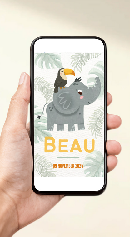 Digitaal geboorteaartje